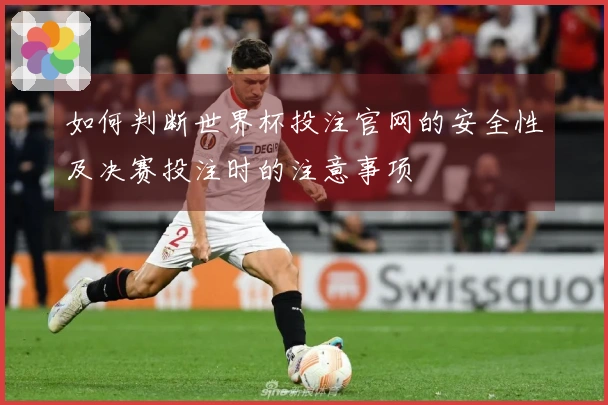 如何判断世界杯投注官网的安全性及决赛投注时的注意事项