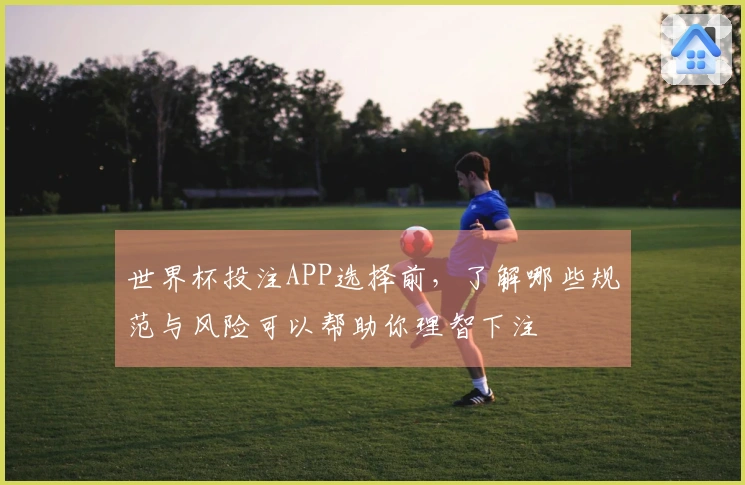 世界杯投注APP选择前，了解哪些规范与风险可以帮助你理智下注